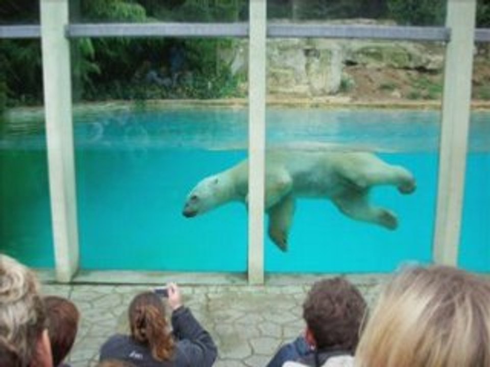 Zoo d'amneville