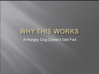 Stop A Breakup - Get Your Ex Back