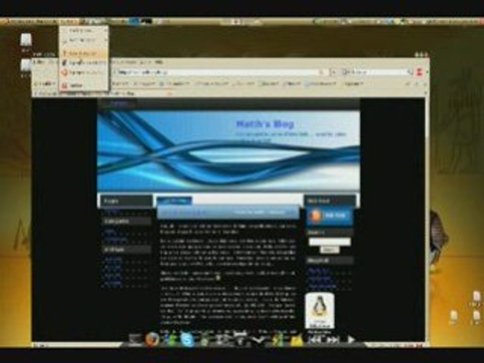 Ubuntu on a Medion MD96640 with Compiz - Perfect !
