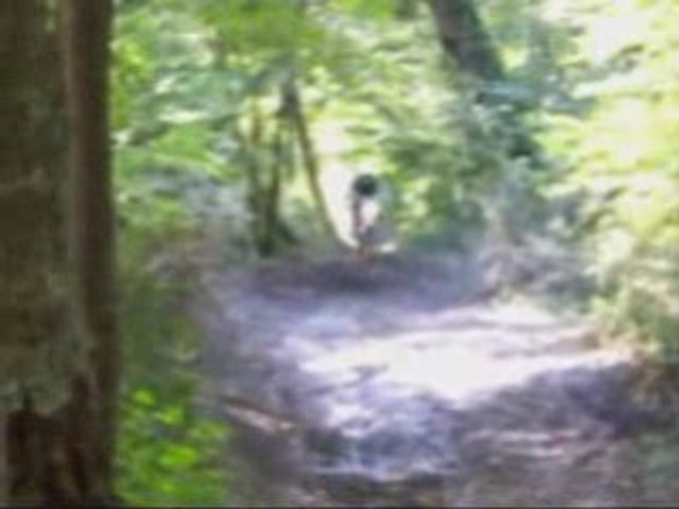 moto cross 65 et 85 ktm sx