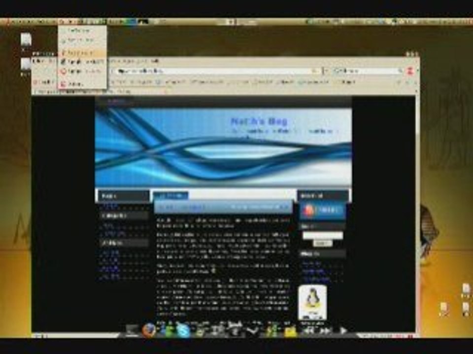 Ubuntu on a Medion MD96640 with Compiz - Perfect ! (+son)