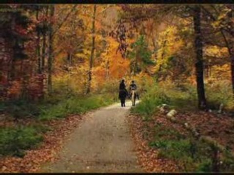 Asli güngör - bu son mektup