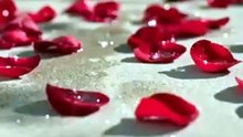 reborn into my mafia husband’s arms_full episode [Full Movie]