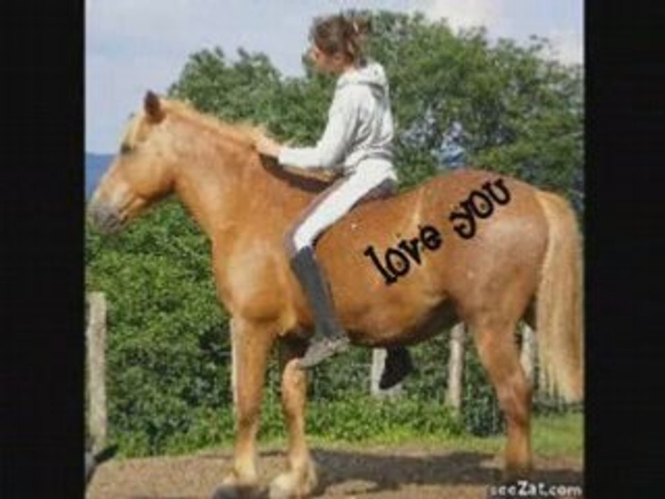 JTM MA CHERIE plus ke tout