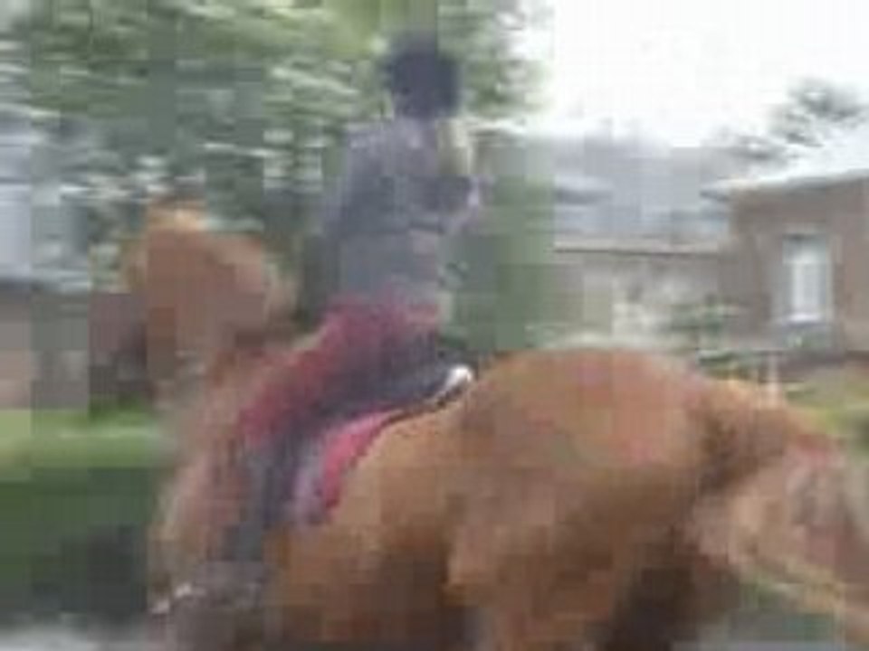 saut obstacle