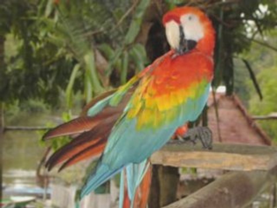 Planned Parenthood Supports Reproductive Health in Peru