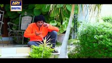 Watch Dilli Walay Dularay Babu Episode 02 on Ary Digital in High Quality 3rd September 2016 [Full Movie]