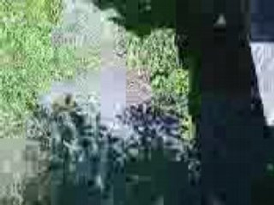MOV00043