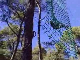 Peterpan Acrobranche