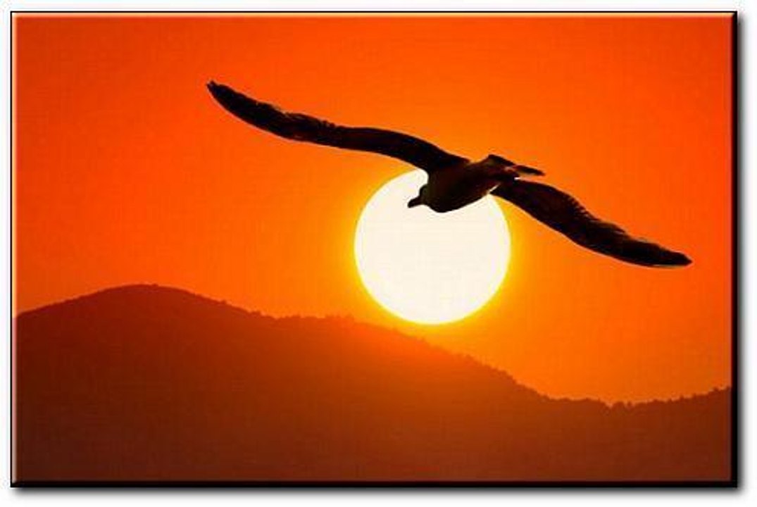 Kizito Mihigo - Vive le Rwanda, Vive la France, Vive la Paix