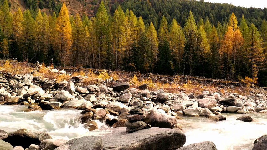 🌲💧 Au Cœur de la Forêt _ Relaxation au Bord du Lac