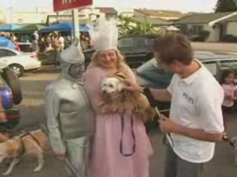 Crazy Costumed Canines - Planet Pets TV Episode 4