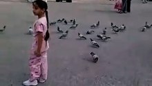 Bachche Karbala Ke Sehen Me Kabutar Ke Sath Khel Rahe Hai & Dana De Rahe Hai | Roohani Nazara 🕊️