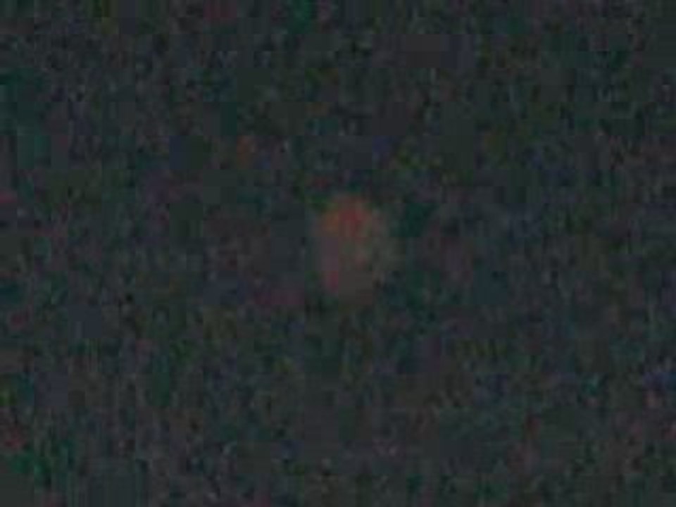 MVI_0135