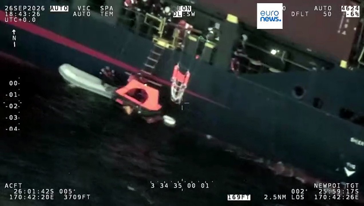Vier Segler im Südpazifik gerettet, Pottwal versenkt ihre Yacht