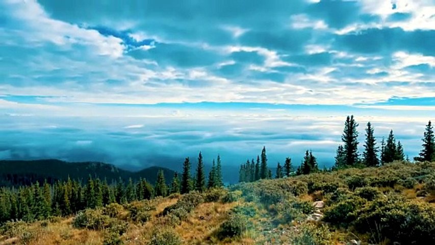 🌲☁️ Musique Relaxante en Forêt – Beaux Nuages & Ambiance Calme