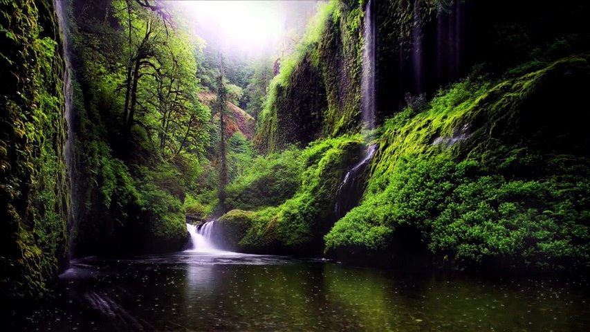 🌧️ Pluie sur la Rivière – Musique Relaxante et Paysage