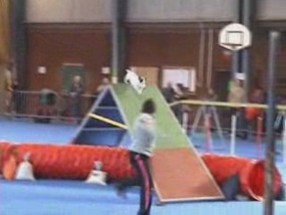 Saïan_3e Degré Lutterbach 03/02/08