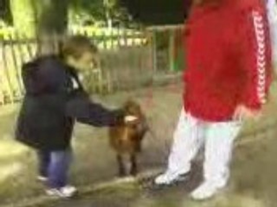 maquette bellewaerde