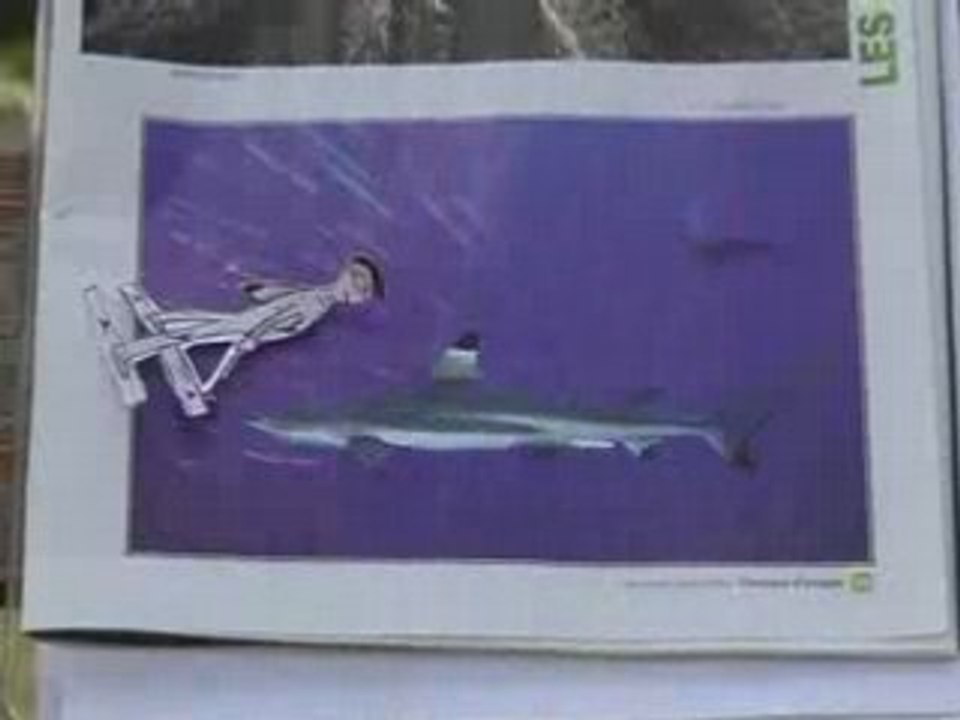 Super requin skieur - Le videobus