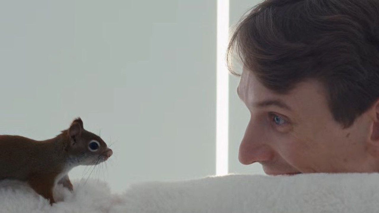 Das eichhörnchen trailer (2) omeu