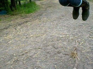 Une belle bande de gogoles