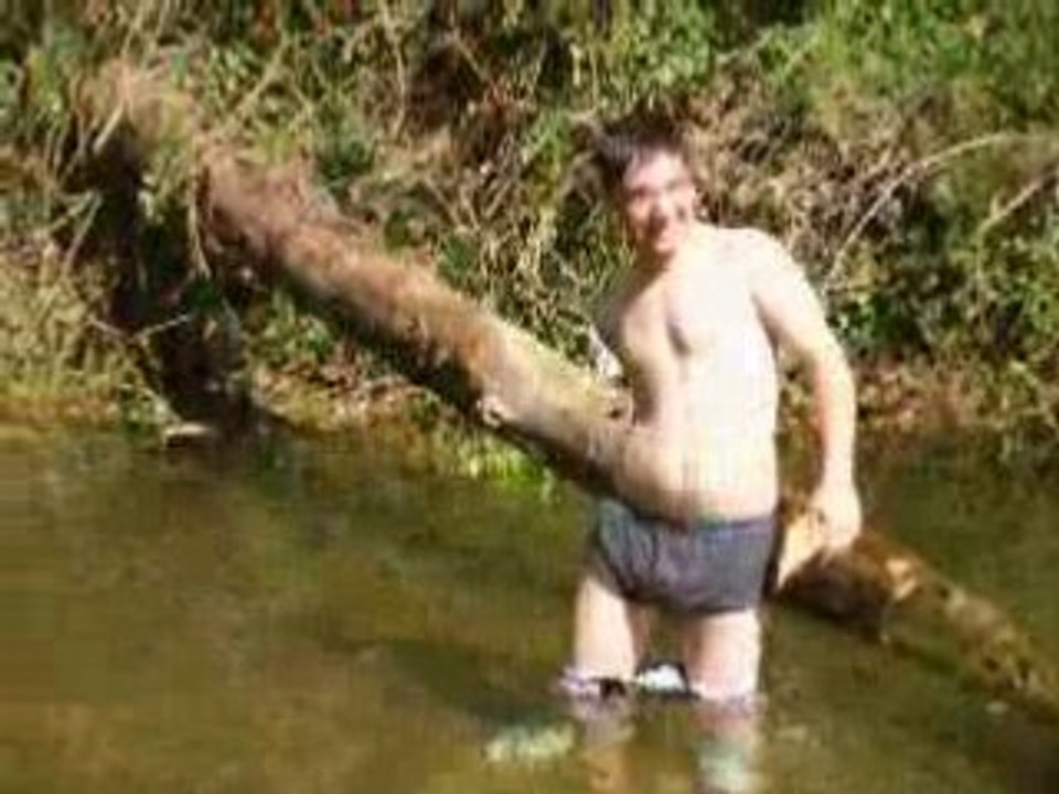 une grenouille cokine