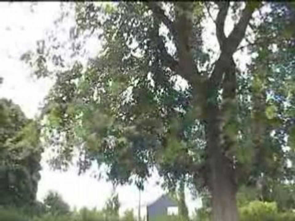 Film rouge 2008  - Vidéobus