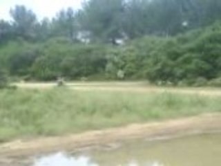 Blog de Nirmou1340 - nirmou13140 - Skyrock.com