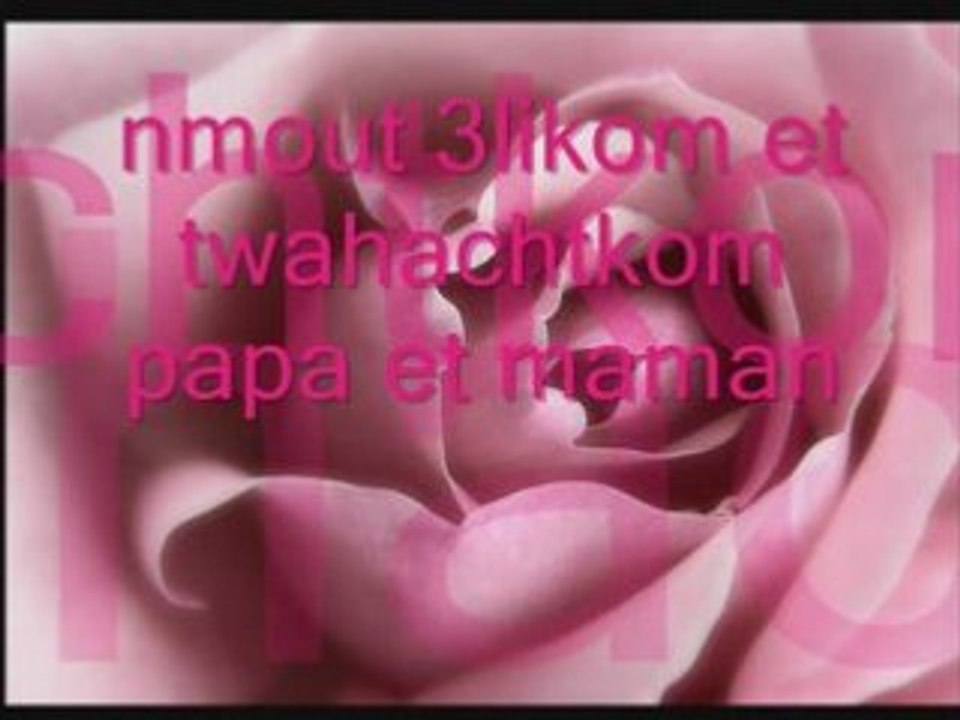 cheb reda