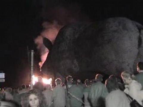 woinic sanglier champagne ardennes plus gros du monde