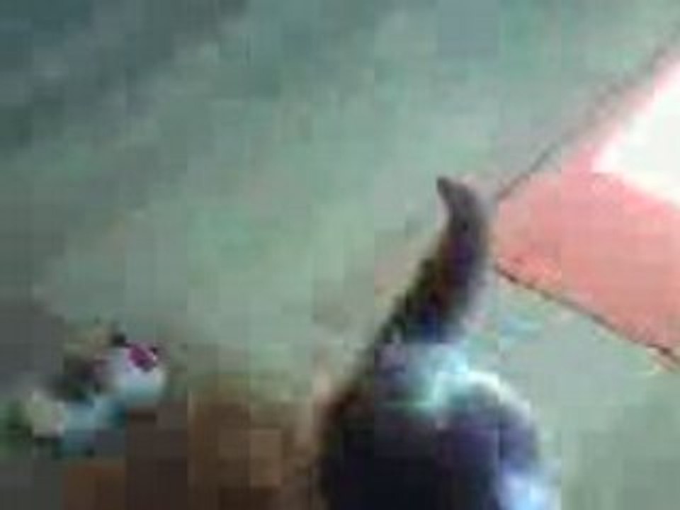 V26-07-08_12.39