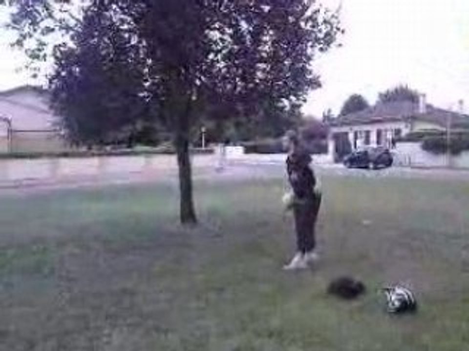 vtt soccer LM