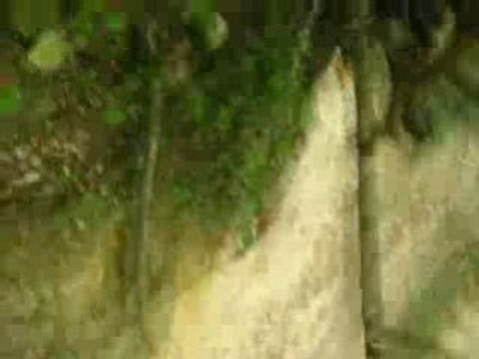 oula la pk tu tes pa crouter julien