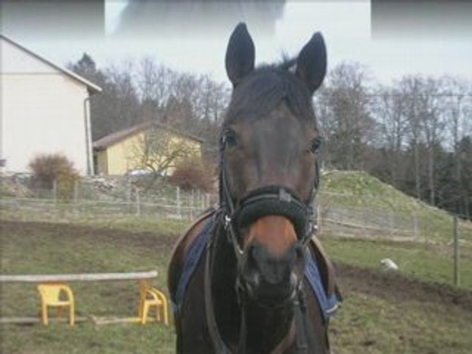i lOve yOuu