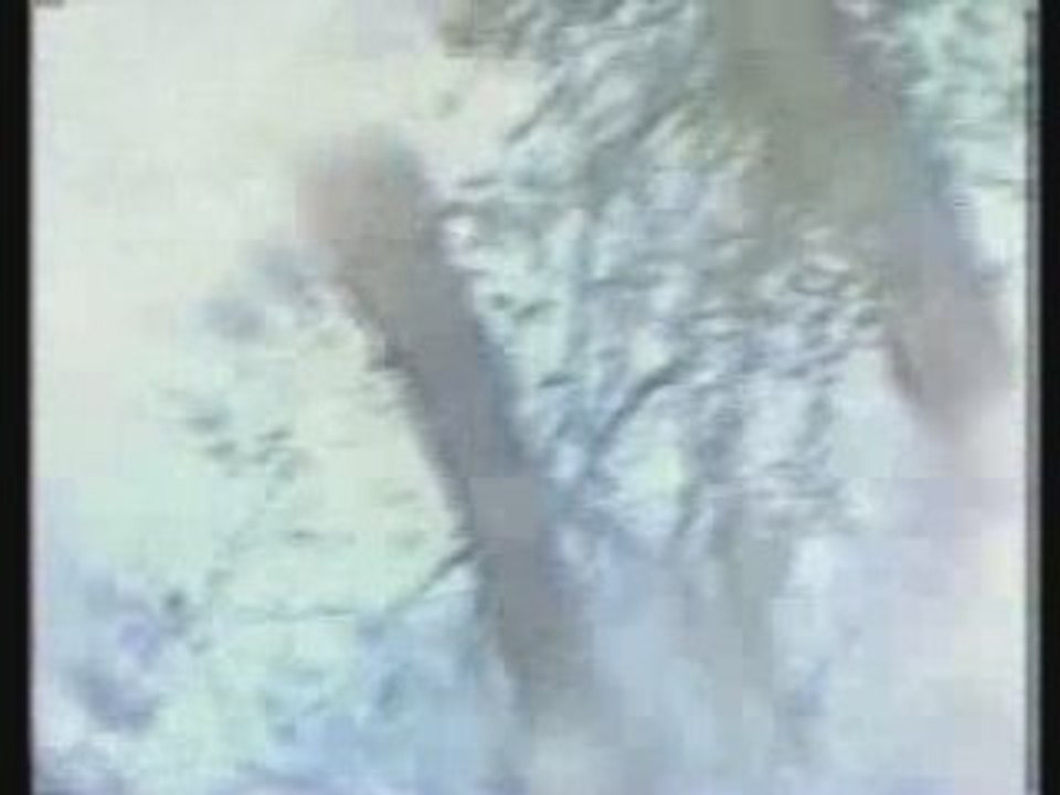 " Hiver 99 " by Claire Kallitsis & Earslicker, France, 2005, CCL2