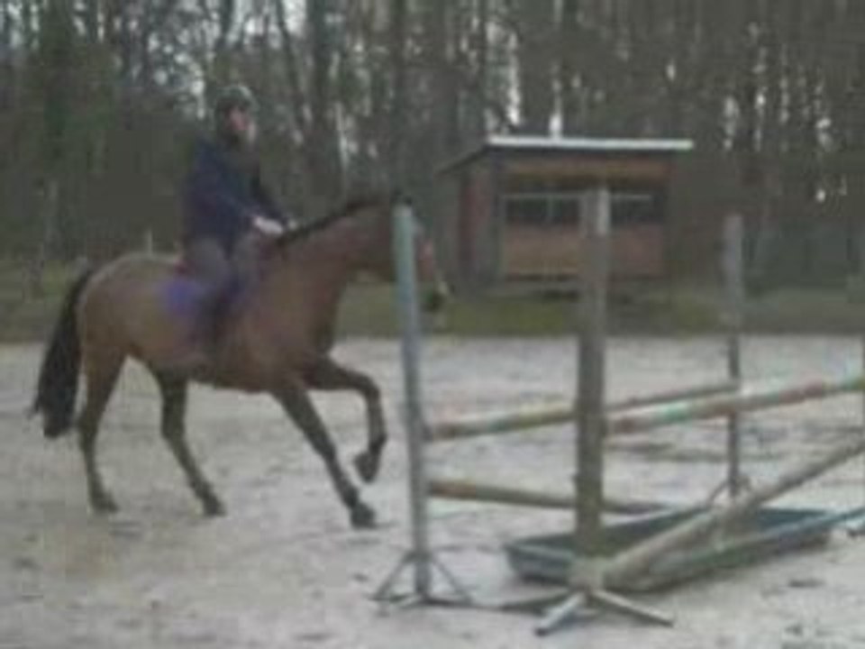 Guillaume sur Miss