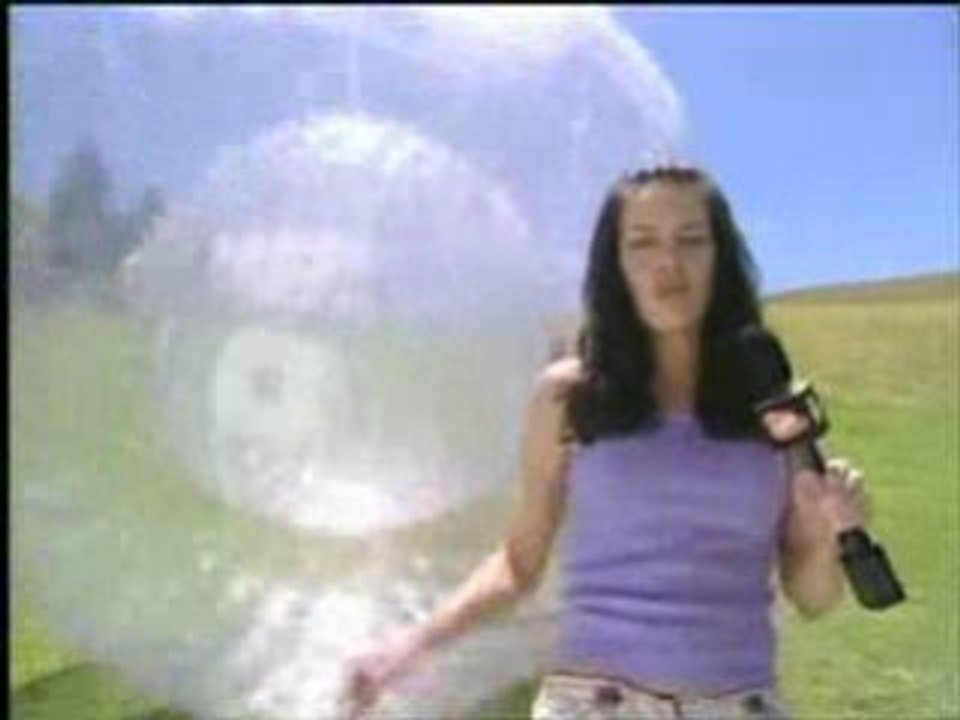 Zorb Vs Reporter