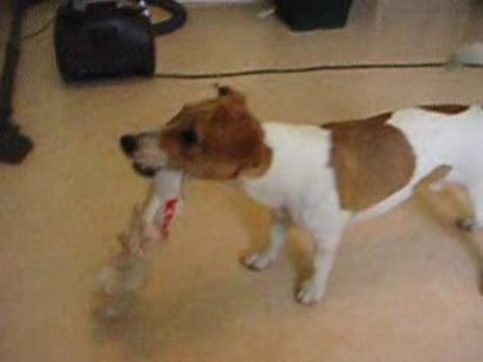 Mise a mort du ballon de foot