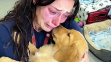 She Cried Holding This Rescue Puppy — The Moment That Broke Her 🐾
