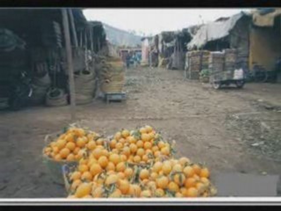 Reggada el berkani 2008 berkane