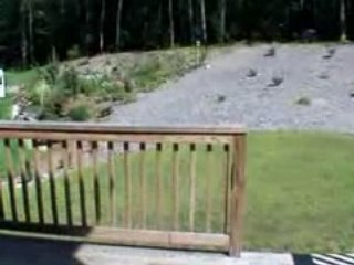 Milford, New Hampshire (NH) real estate and homes