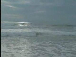Surf a la Torche 2008