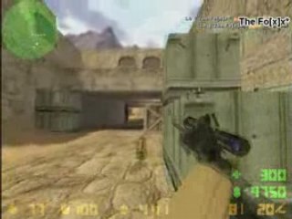 Counter-Strike 1.6 The Fox