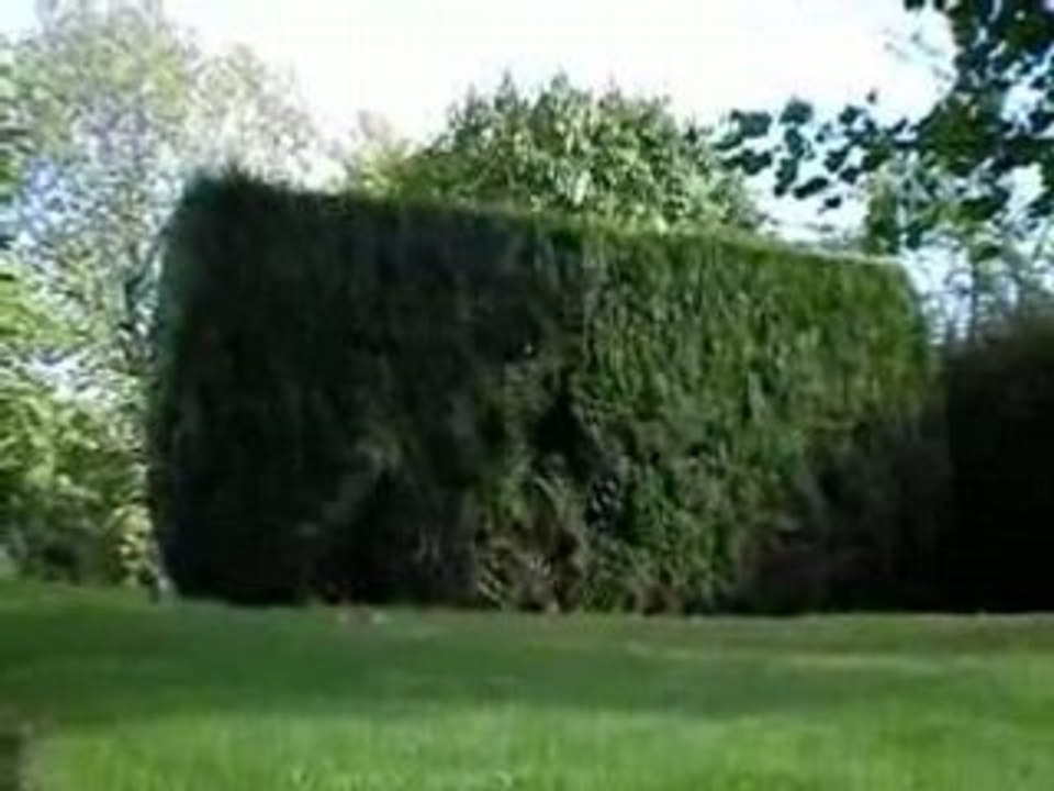 Saut De Fond De Toine