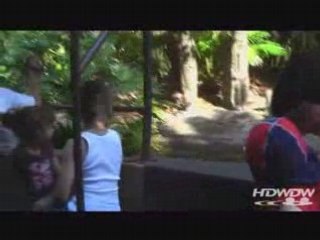 The Jungle Cruise -- Disney