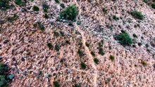 The Taos Hum Mystery: Why Only Some People Hear a Constant Drone and Science Still Has No Answer