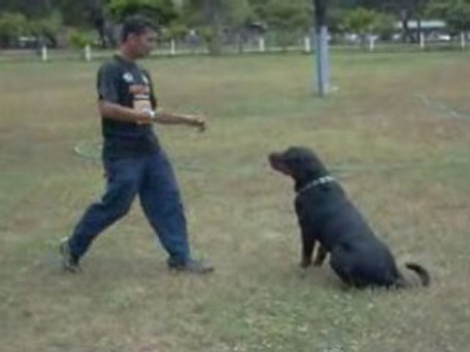 In training for competition of Work - 1b