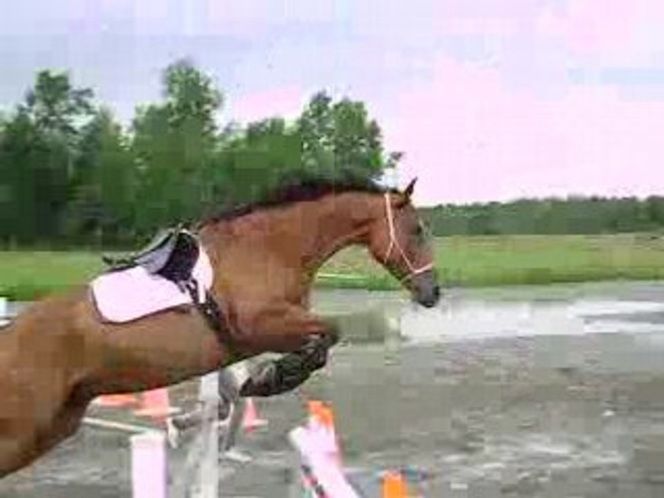 Bob sur l'oxer !