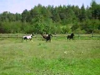 toujours en train de s'énerver XD